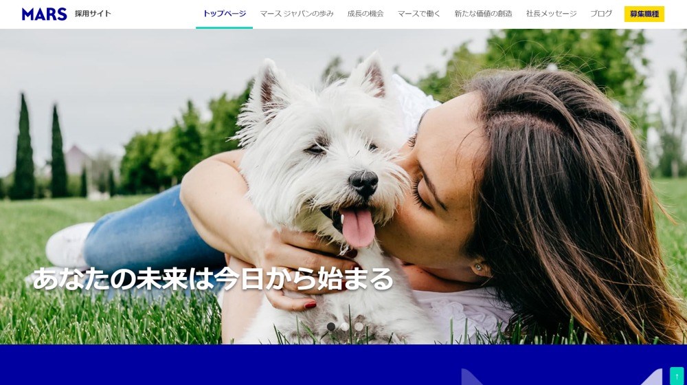 Mars Japan（マース ジャパン）の転職希望者必見！仕事内容や待遇 